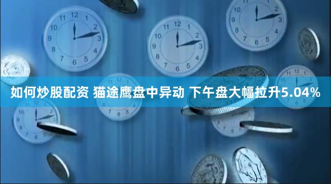 如何炒股配资 猫途鹰盘中异动 下午盘大幅拉升5.04%